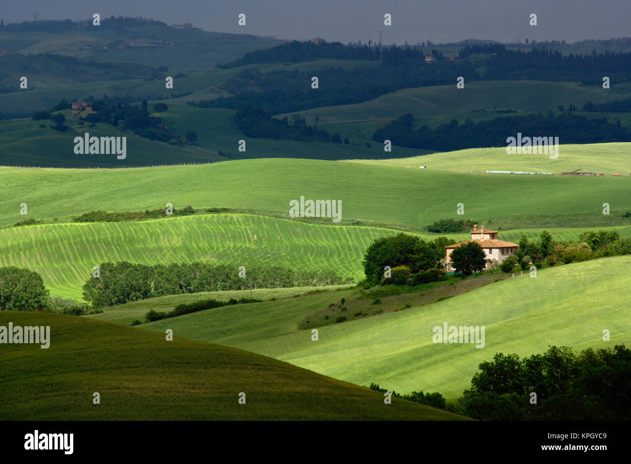 Los campos de granja agrícola de laminación y tonos sunlight, Toscana, Italia. Foto de stock