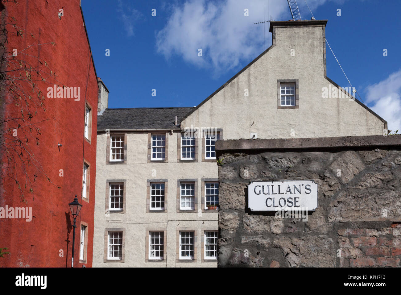 Gullan cerca entre pintados de complejos habitacionales en el casco antiguo de Edimburgo Foto de stock