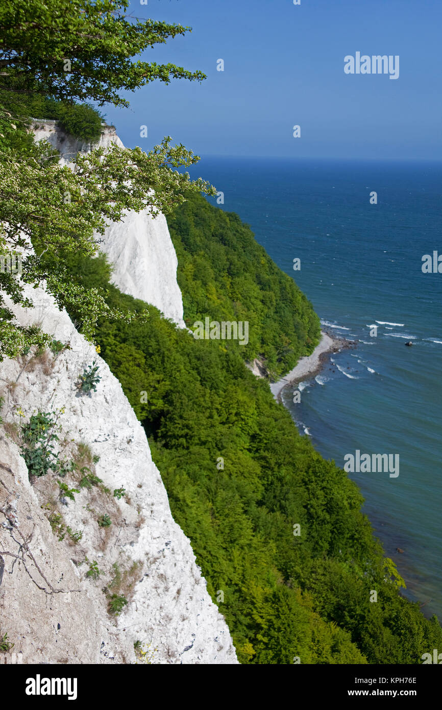 Ver en 'Koenigsstuhl' (Reyes silla) chalk acantilado en el Parque Nacional Jasmund, Ruegen isla, Mecklemburgo-Pomerania Occidental, Mar Báltico, Alemania Foto de stock