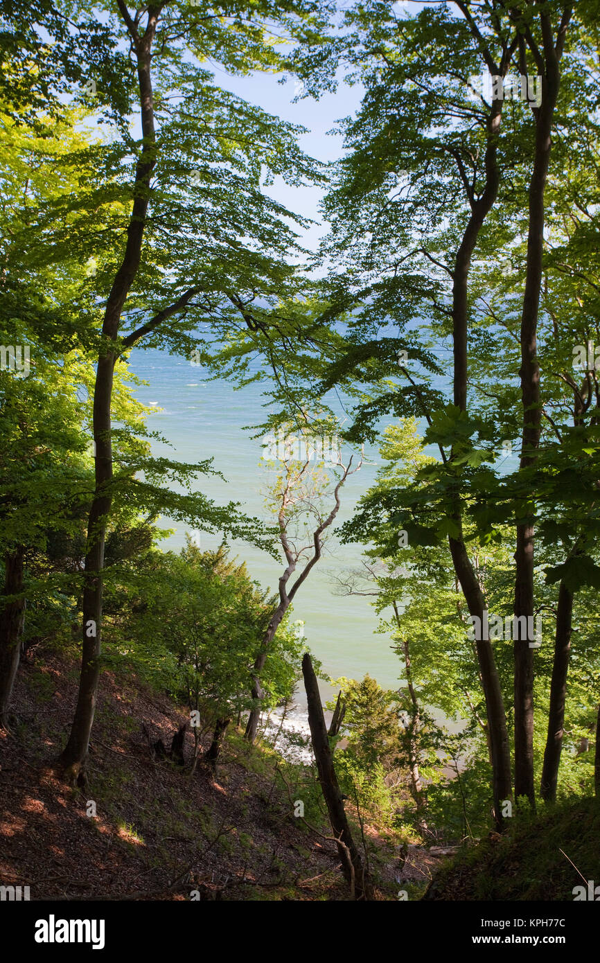 Vista desde una pista forestal para el mar Báltico, el parque nacional de Jasmund, Ruegen isla, Mecklemburgo-Pomerania Occidental, Mar Báltico, Alemania, Europa Foto de stock