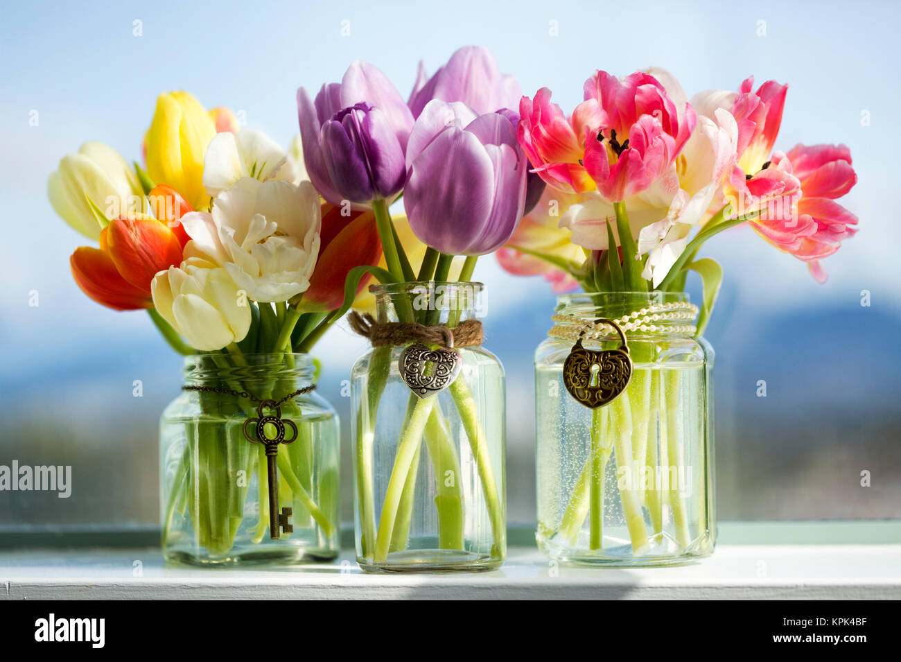 Varios colores de tulipanes en cristal con colgantes decorativos en el alféizar la ventana con la ciudad detrás; Surrey, British Columbia, Canadá Fotografía stock - Alamy