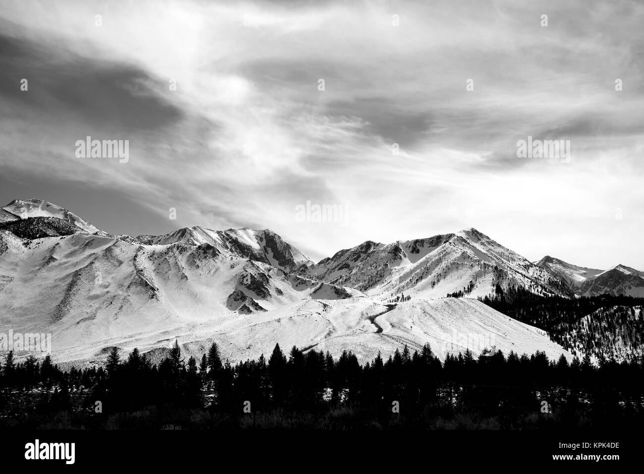 Imagen en blanco y negro de una cordillera cubierta de nieve, bajo un cielo nublado con un bosque en un valle Foto de stock