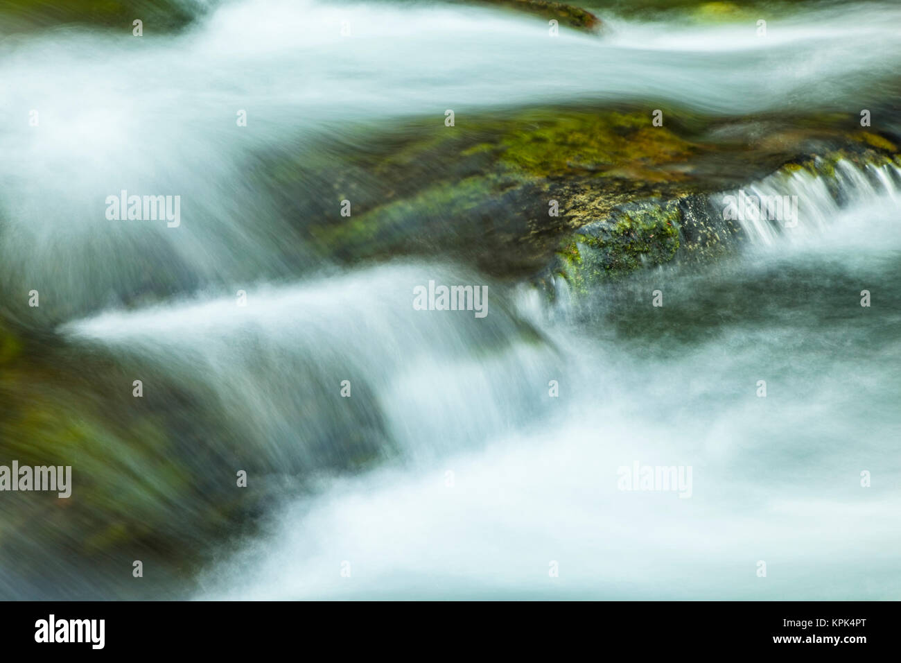 Cerca de la cascada Ptarmigan Creek, el Bosque Nacional de Chugach, la Península Kenai, Southcentral Alaska, Alaska, Estados Unidos de América Foto de stock