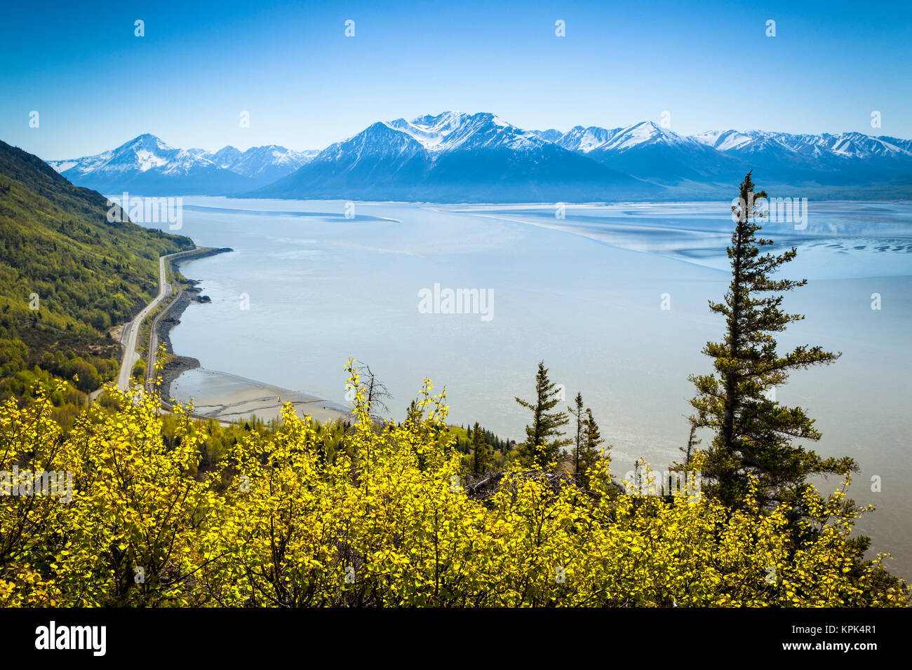 Vista panorámica de las montañas Kenai y brazo Turnagain bajo el cielo azul, el verde exuberante de Bush en el primer plano, Alaska, Estados Unidos de América Foto de stock