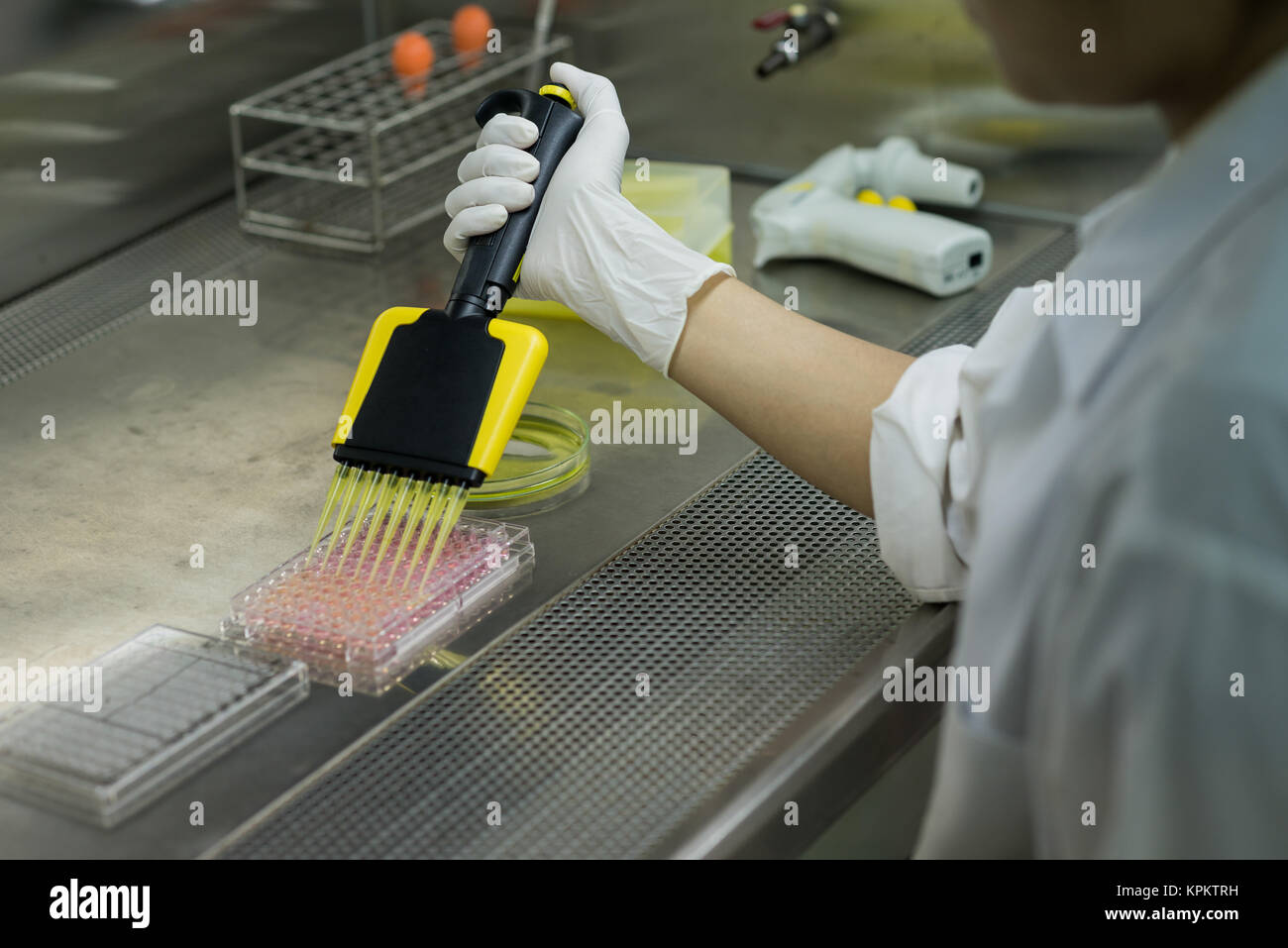 Investigador transferencias líquido para pruebas de placa de 96 pocillos para laboratorio microbiológico Foto de stock