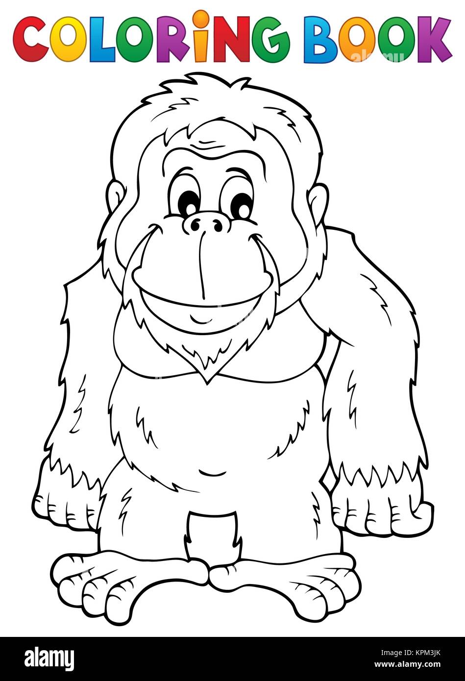 Orangutan Illustration Fotos E Imagenes De Stock Pagina 2 Alamy