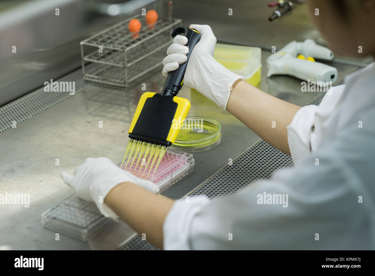 Investigador transferencias líquido para pruebas de placa de 96 pocillos para laboratorio microbiológico Foto de stock