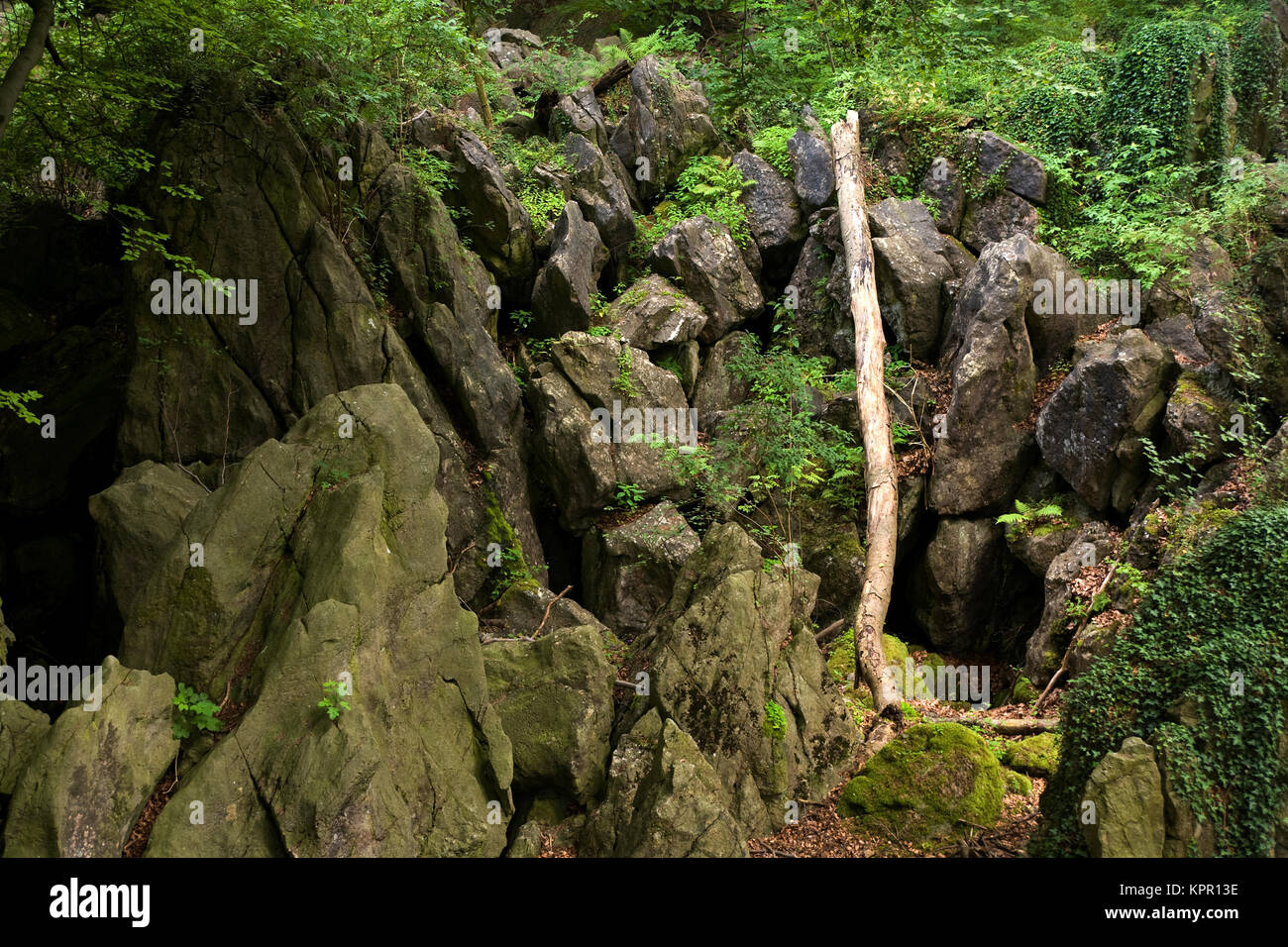 En Europa, Alemania, región de Sauerland, el Felsenmeer Hemer, piedra run [la Felsenmeer karst está constituido por la formación y por los derrumbes de cuevas en th Foto de stock