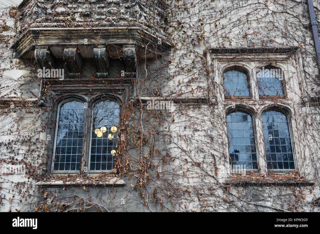 Club gótico fotografías e imágenes de alta resolución - Alamy