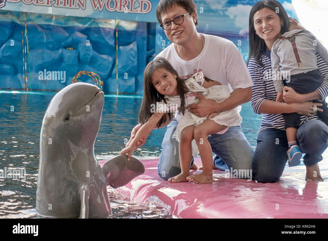Delfín del Irrawaddy, animal humano la interacción. Foto de stock