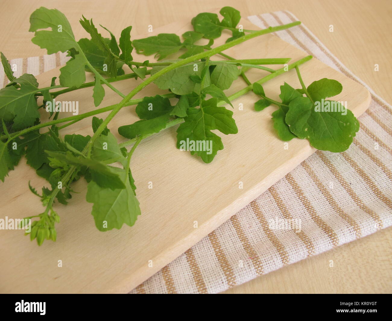 Hojas de mostaza como hierbas culinarias Foto de stock