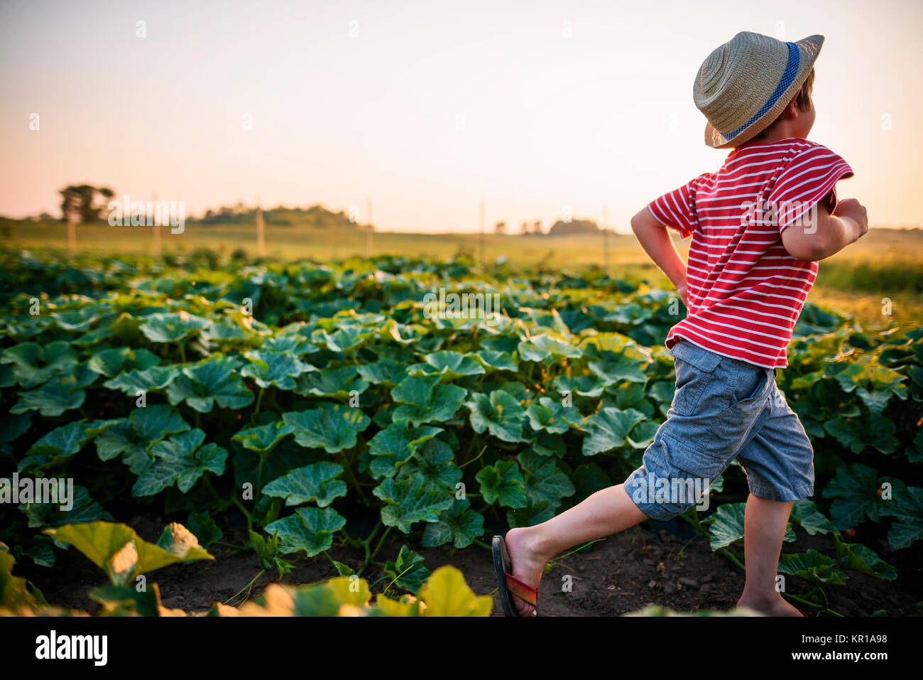 Niño corriendo a través de un parche vegetal Foto de stock