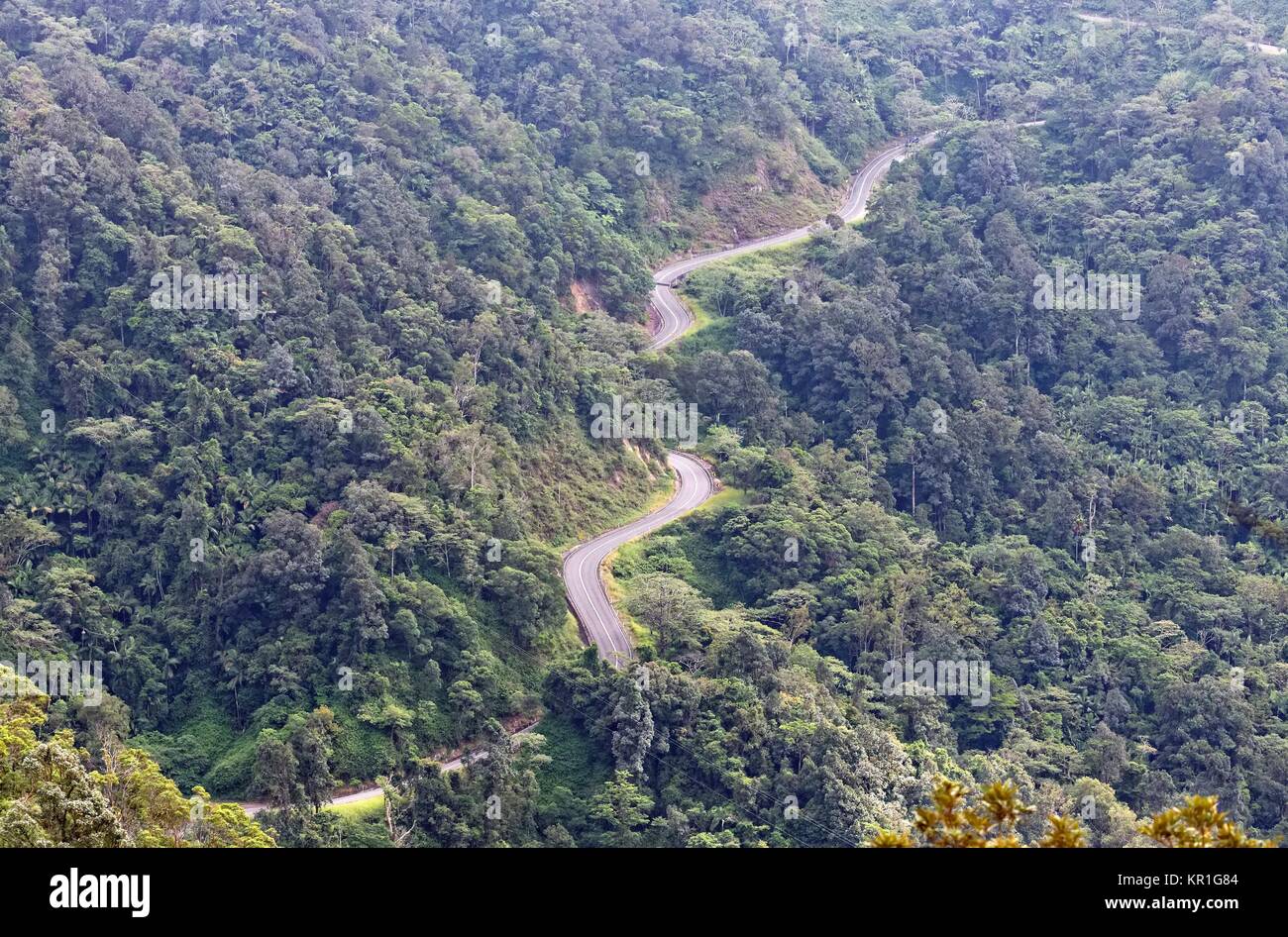 La Ruta Estatal 64 nach Eungella Foto de stock