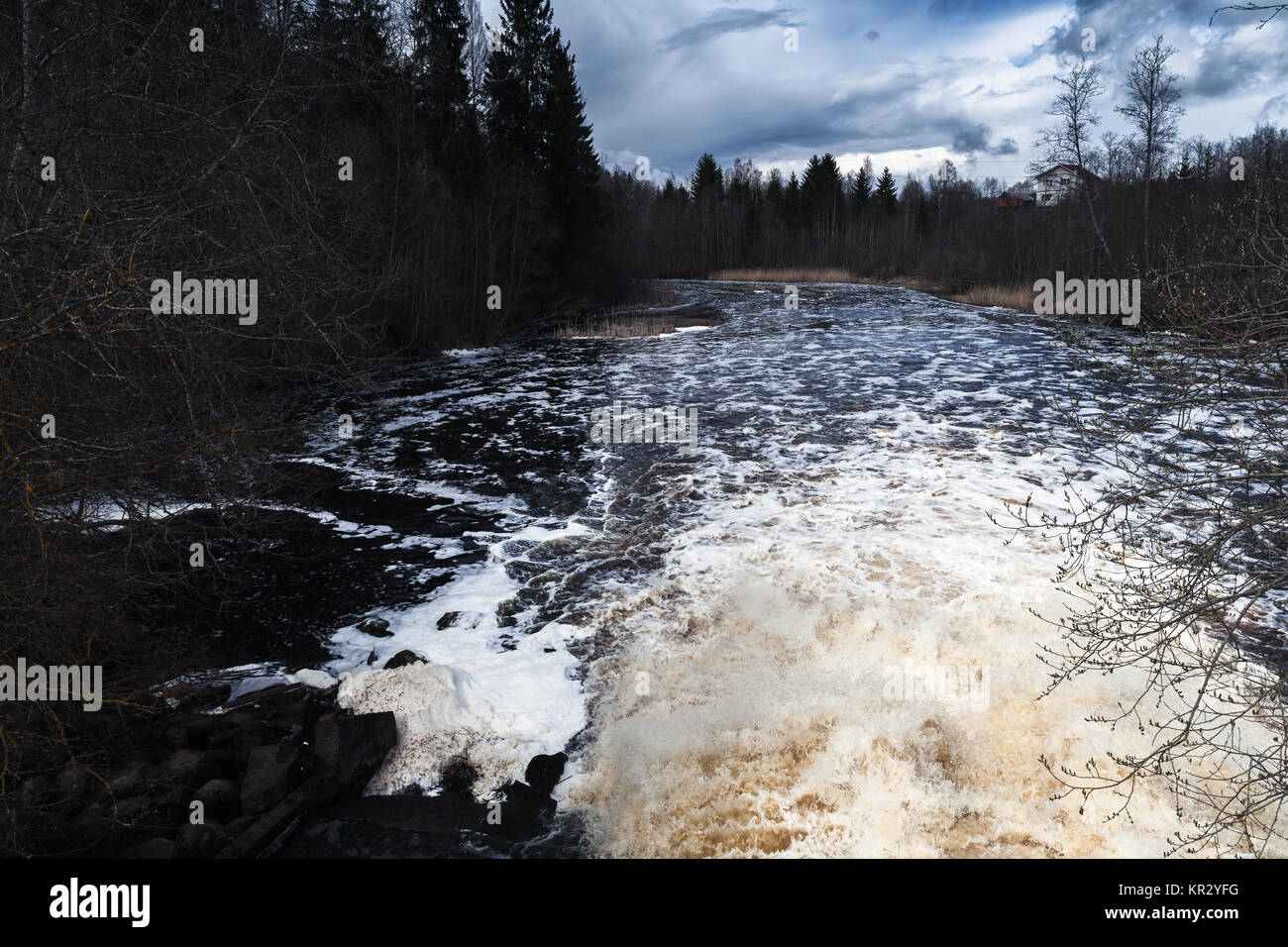 Cascada tras la presa sobre el río Oredezh oscuro en primavera. Leningrad Oblast, Rusia Foto de stock