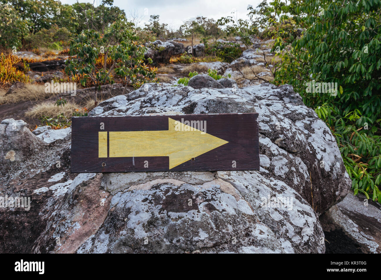 Signo de flecha amarilla pintada sobre una roca en una ruta de senderismo en el parque nacional de Phu Reua, Tailandia Foto de stock