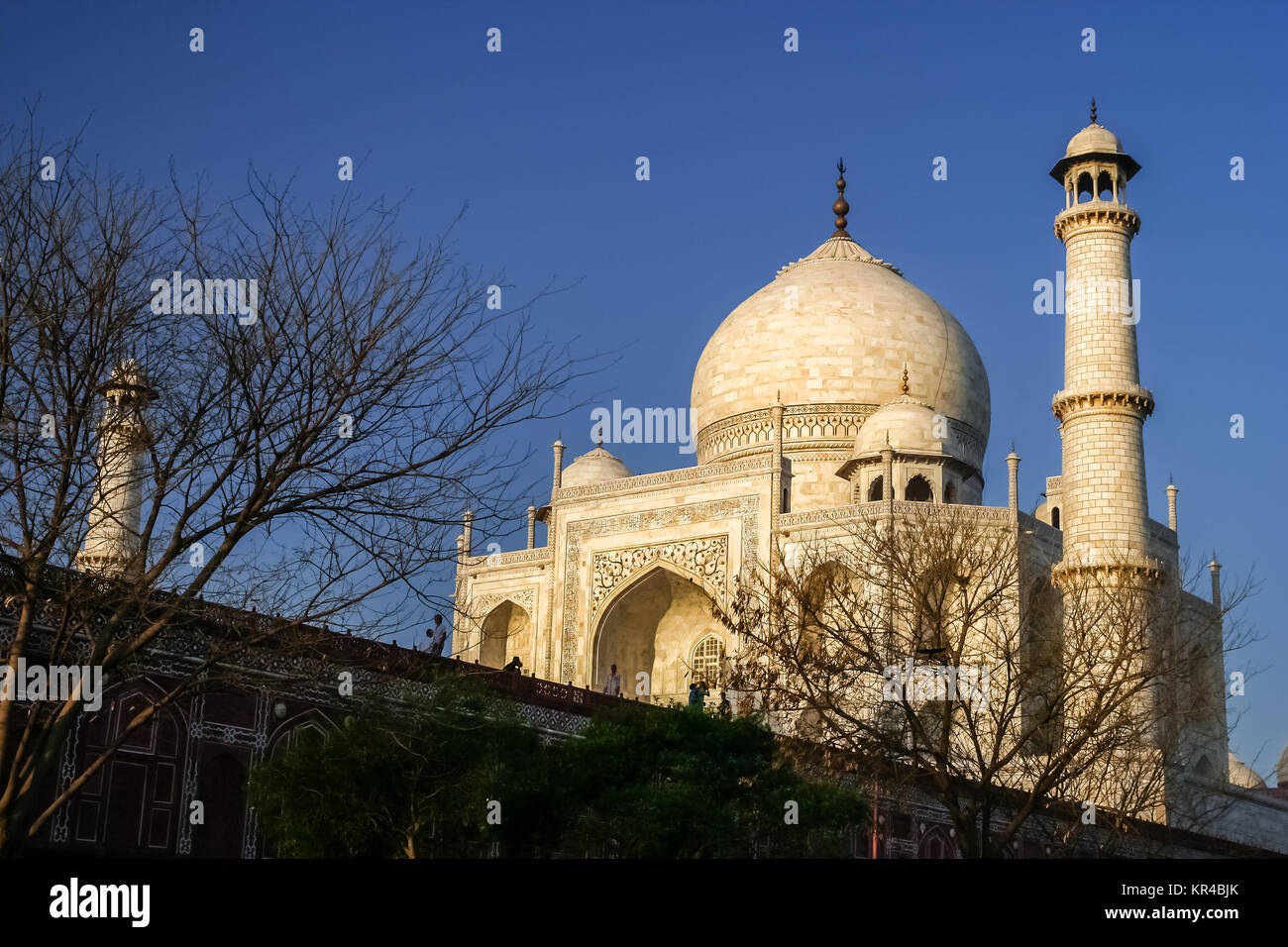 Taj Mahal minaretes Foto de stock