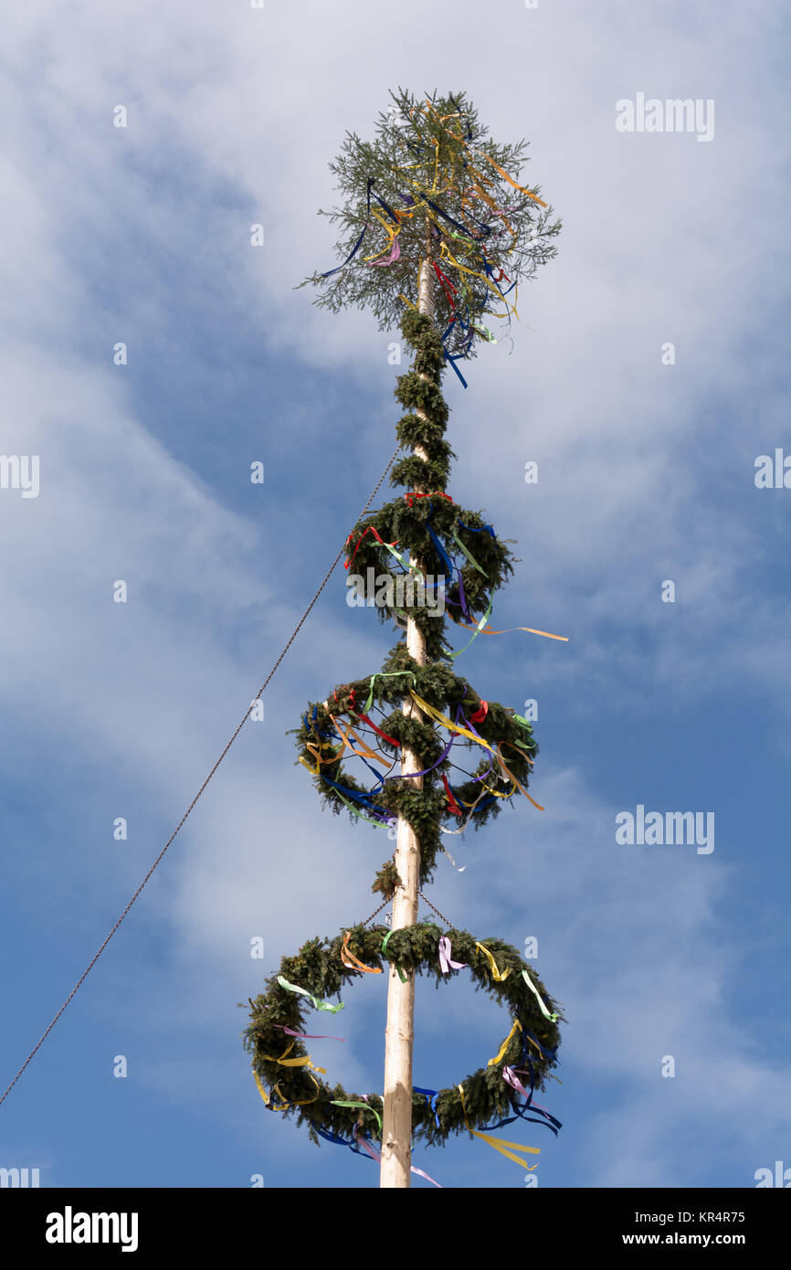 Auf festlich geschmücktem Maibaum hängen bunte Bänder Foto de stock