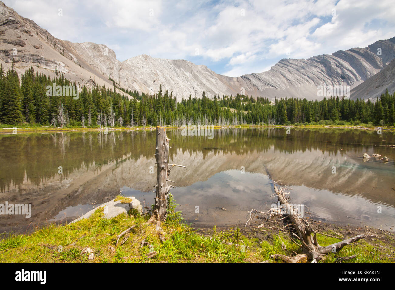 Pickle lake fotografías e imágenes de alta resolución Alamy