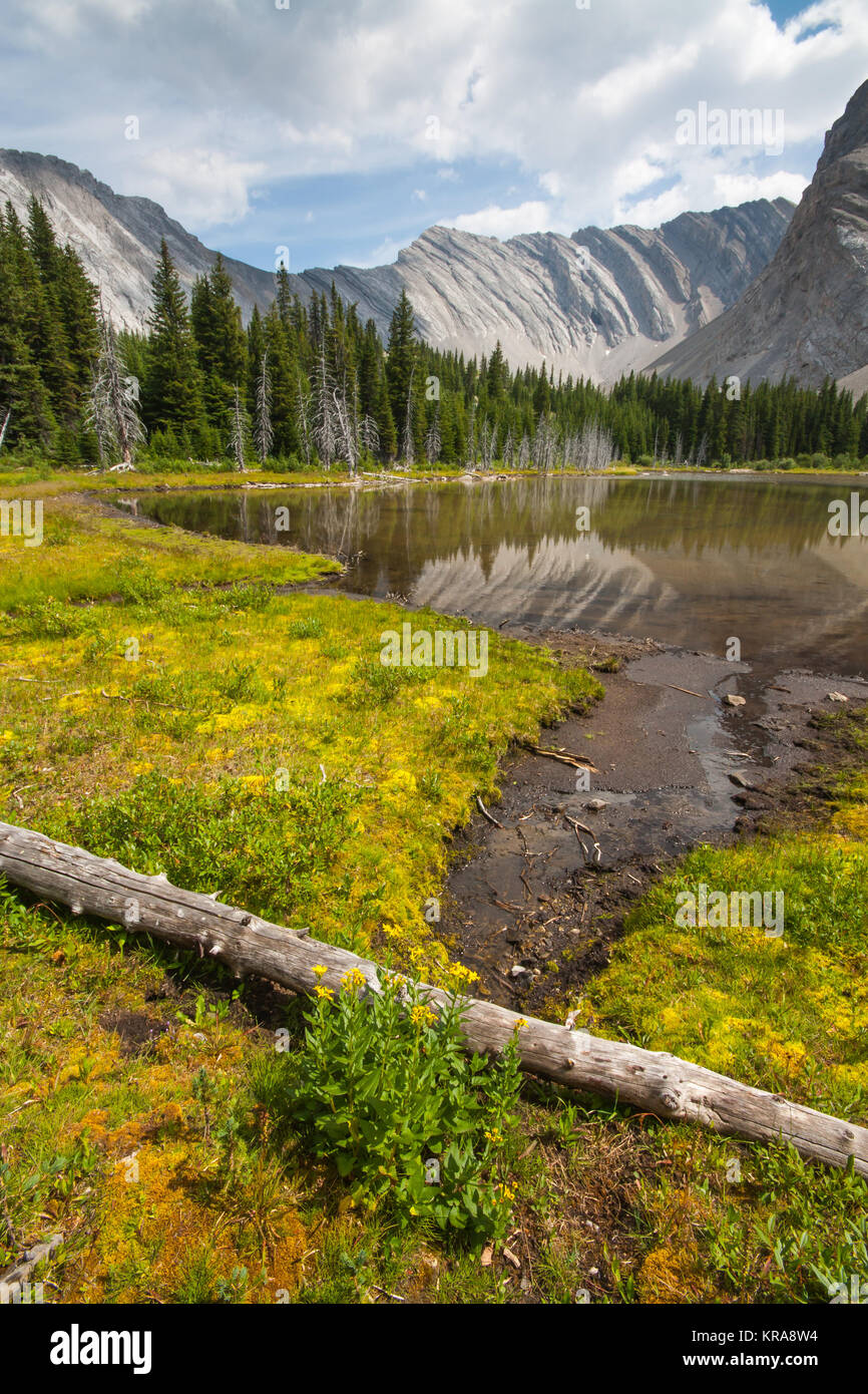 Pickle lake fotografías e imágenes de alta resolución Alamy