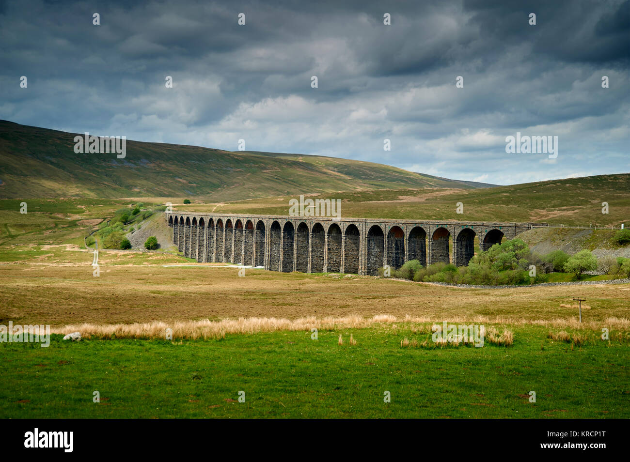La Ribblehead Viaducto sobre la línea de ferrocarril Settle-Carlisle en Yorkshire Dales National Park, Inglaterra con Whernside detrás Foto de stock