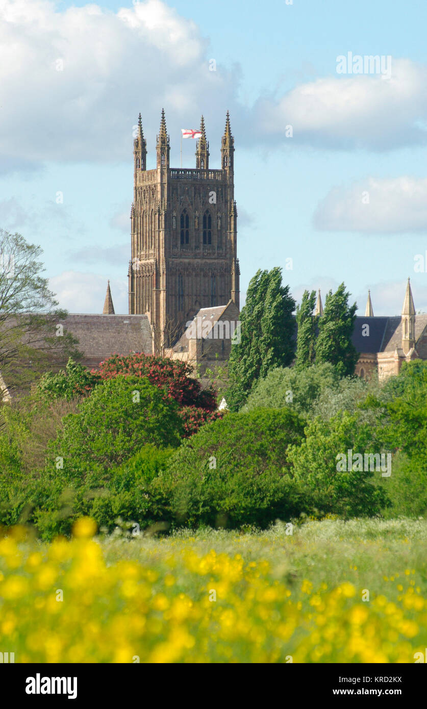 Vista de la Catedral de Worcester, Worcestershire, cerca del río Severn. Su nombre completo es la Iglesia Catedral de Cristo y la Bendita Virgen María de Worcester. Construido entre 1084 y 1504, representa cada estilo de arquitectura inglesa de Norman para gótico perpendicular. Foto de stock
