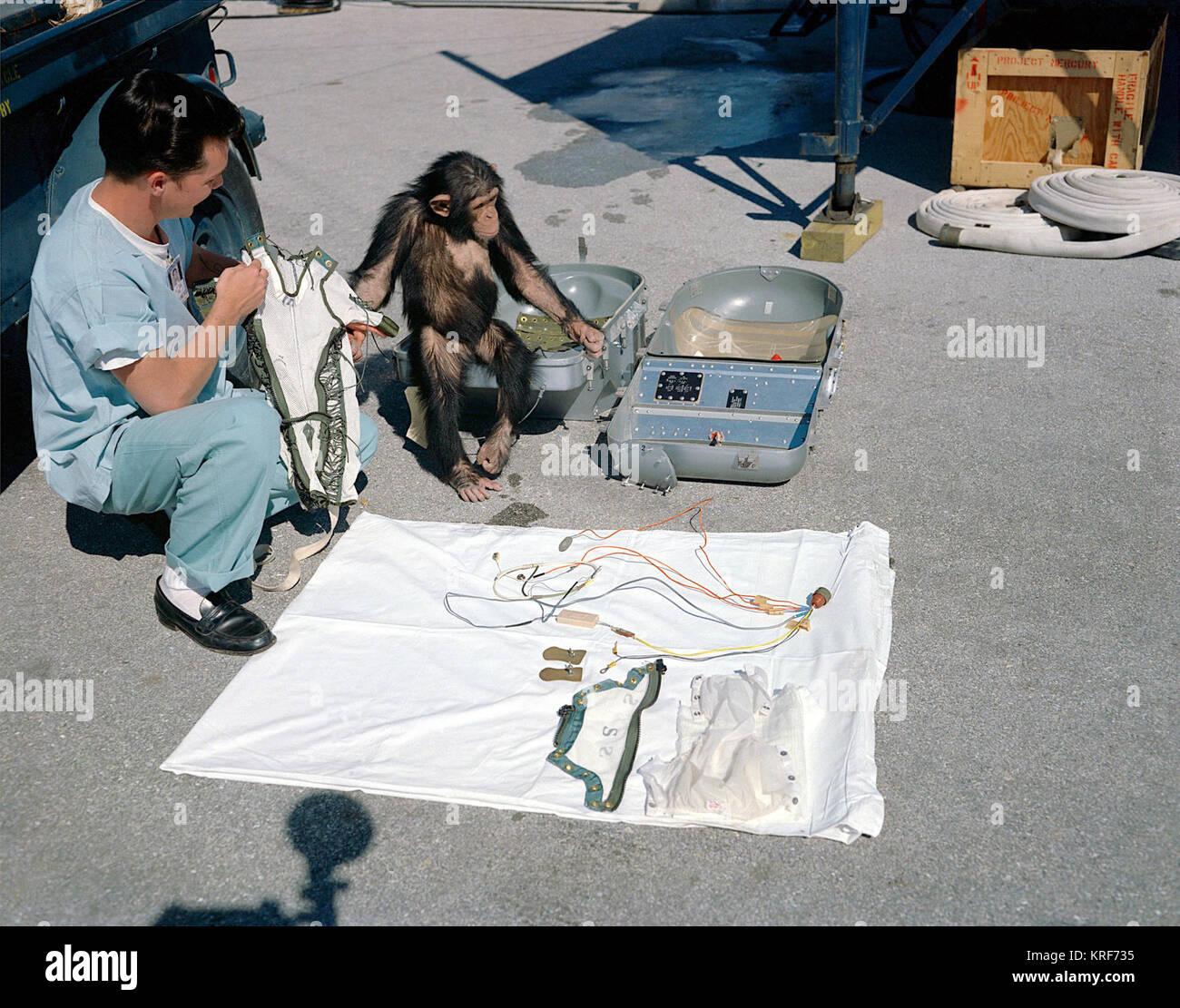 El chimpancé Ham con equipos de vuelo KSC-61C 0109 Foto de stock