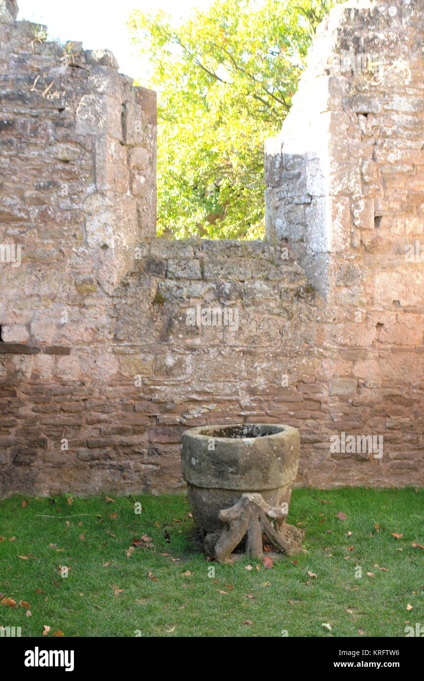 Una pequeña fuente de piedra en los restos de una capilla en los terrenos de menor Brockhampton Manor House, cerca de Bromyard, Herefordshire. Fecha: circa 2012 Foto de stock