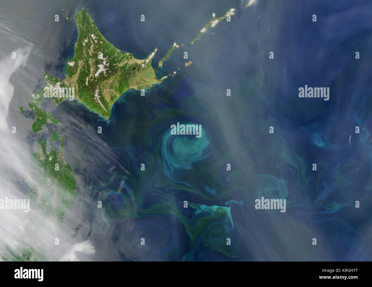 La primavera florecen los colores el Pacífico cerca de Hokkaido -- En el noroeste del océano Pacífico, la corriente de Oyashio fluye hacia abajo fuera del Ártico, más allá de Siberia y la Península de Kamchatka. En torno a la latitud de Hokkaido, Japón, comienza a virar hacia el este y confluye con el calentador, la corriente de Kuroshio fluye hacia el área del sur. Esta imagen desde el Moderate Resolution Imaging Spectroradiometer (MODIS) a bordo del satélite Aqua de NASA del 21 de mayo de 2009, ilustra cómo la convergencia de estas dos corrientes afecta el fitoplancton (plantas microscópicas-como criaturas que forman la base de la red alimentaria marina) Foto de stock