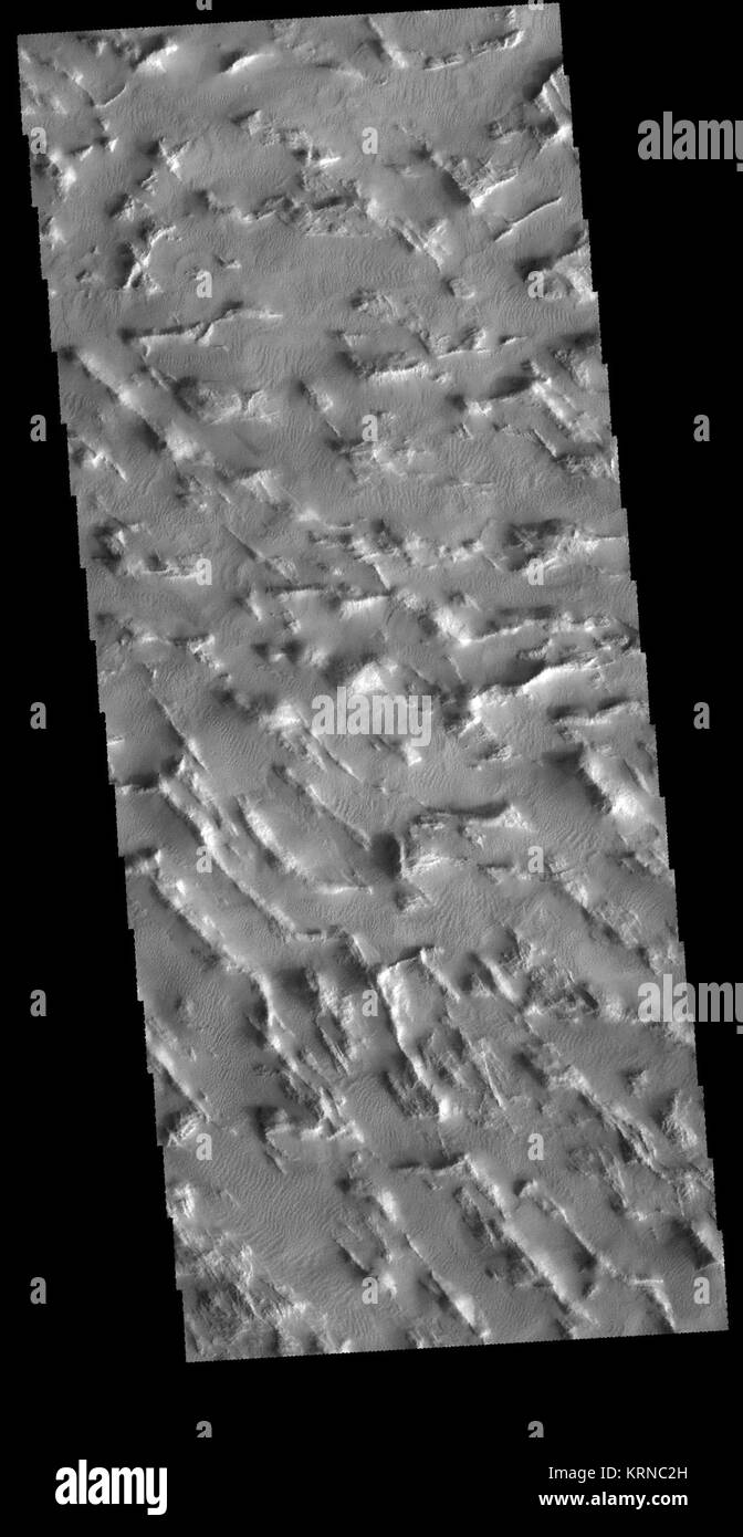 Sulci fotografías e imágenes de alta resolución Alamy
