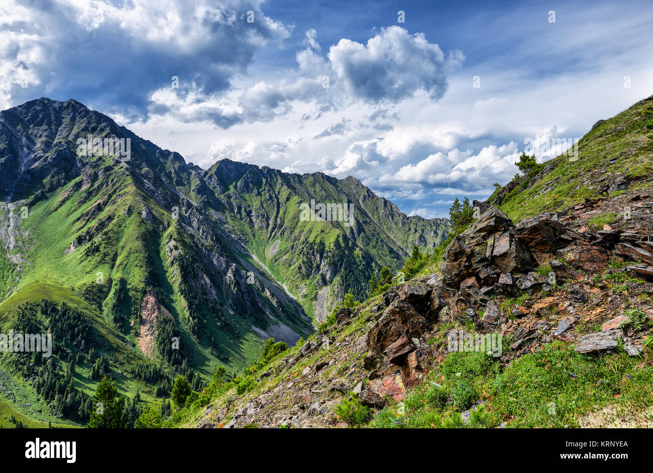 Tierras altas de Siberia en julio. Sayan oriental. Rusia Foto de stock