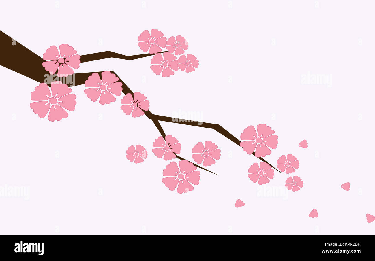 Rama de sakura con flores. Rama con pétalos de flor de cerezo cayendo Fotografía de stock - Alamy Rama de sakura con flores. Rama con pétalos de flor de cerezo cayendo Fotografía de stock - Alamy