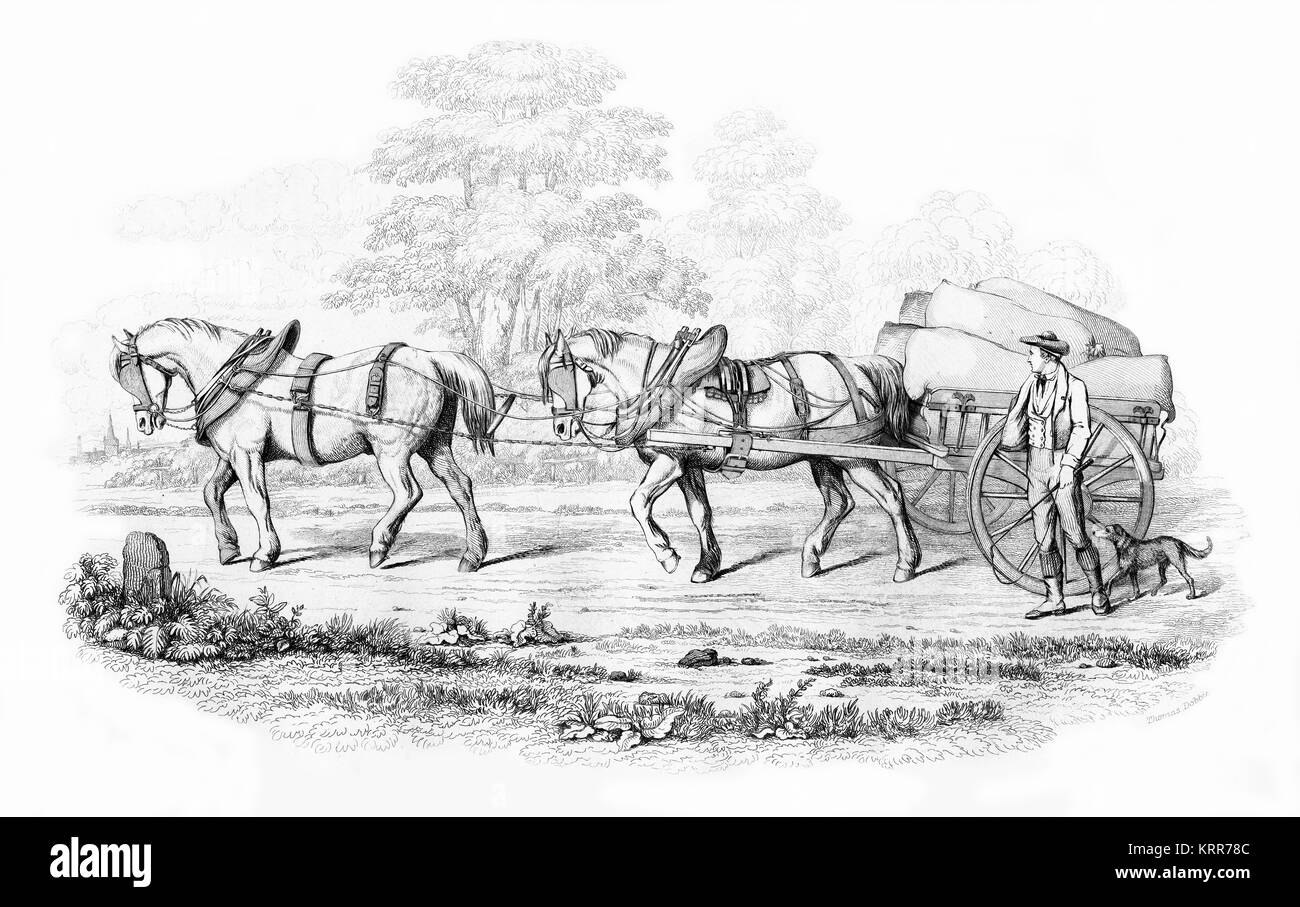 Grabado de un carro de dos caballos, comúnmente usado en Inglaterra. A partir de un original grabado realizado en 1890 Foto de stock