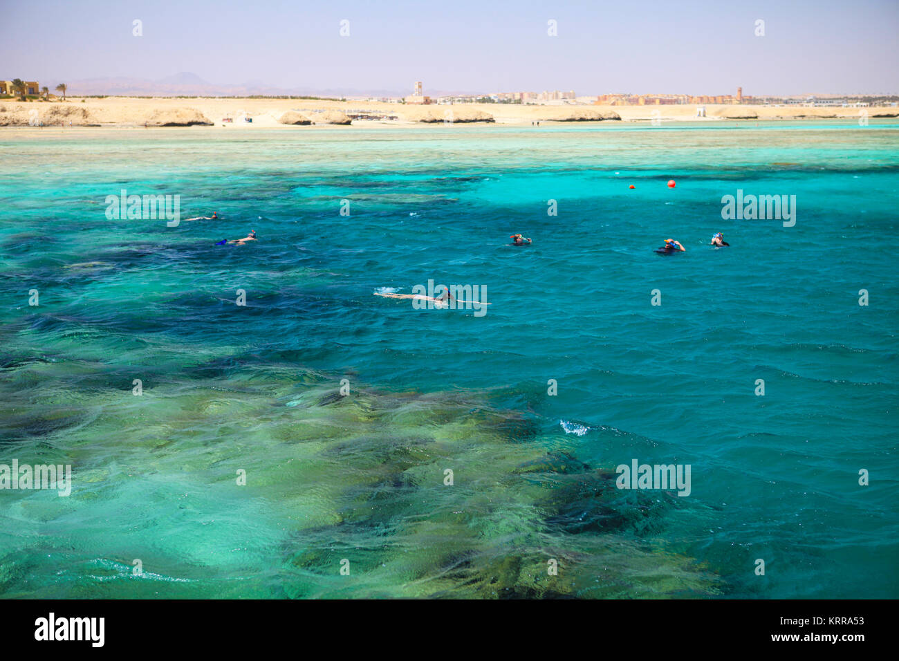 Hermosos arrecifes de coral en Marsa Alam, Egipto Foto de stock