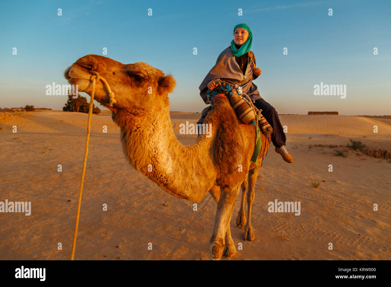En ropa de mujer beduina lomos de un camello en el desierto del Sahara,  Túnez, África Fotografía de stock - Alamy