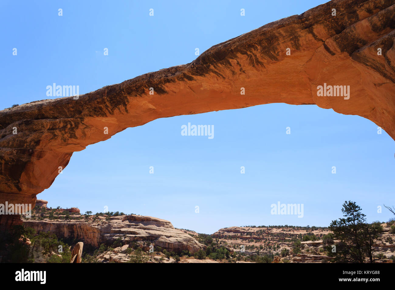 Parque Nacional Natural Bridges Foto de stock