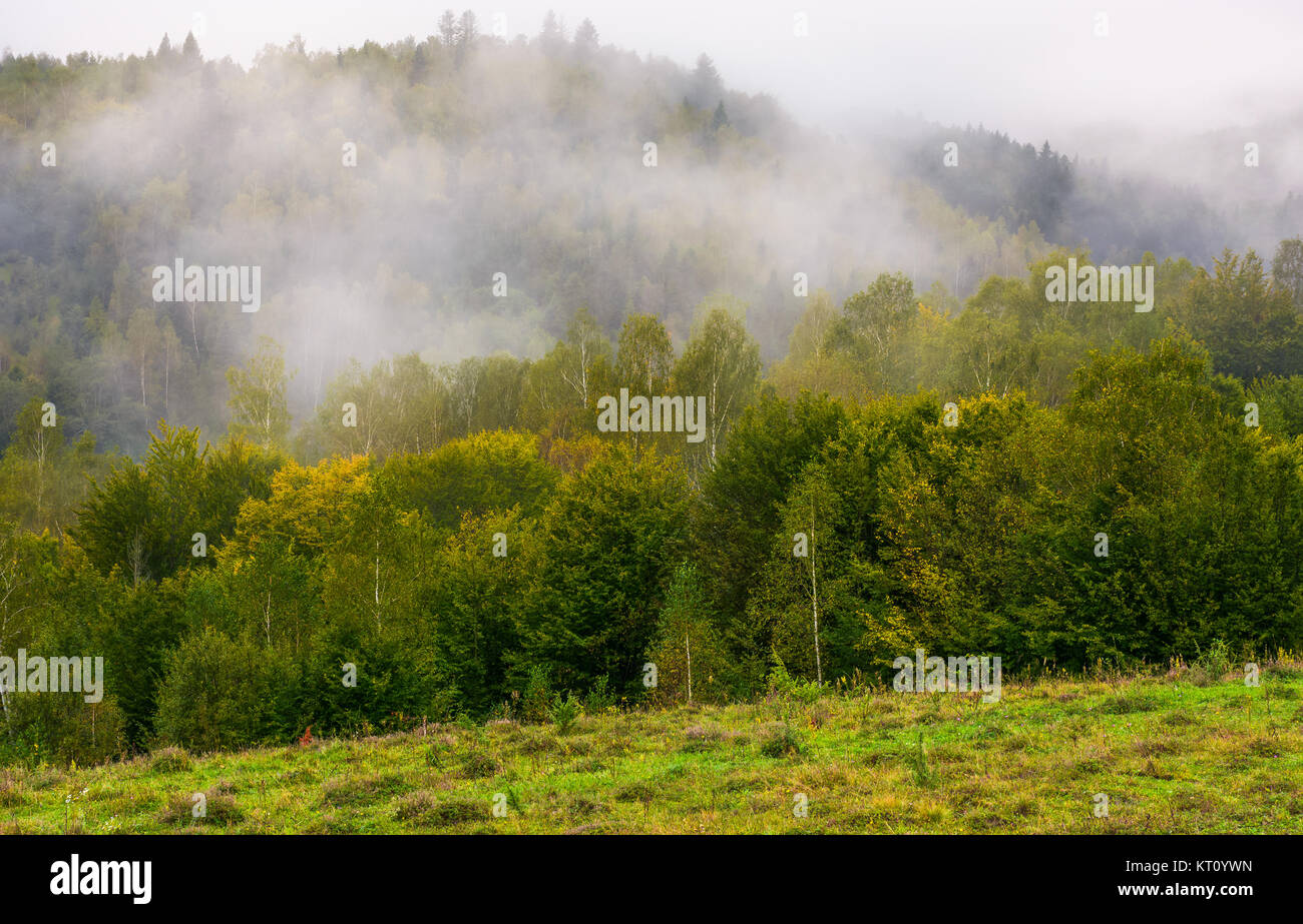 Niebla y nubes bajas a lo largo de las montañas boscosas. misterioso paisaje en otoño profundo Foto de stock
