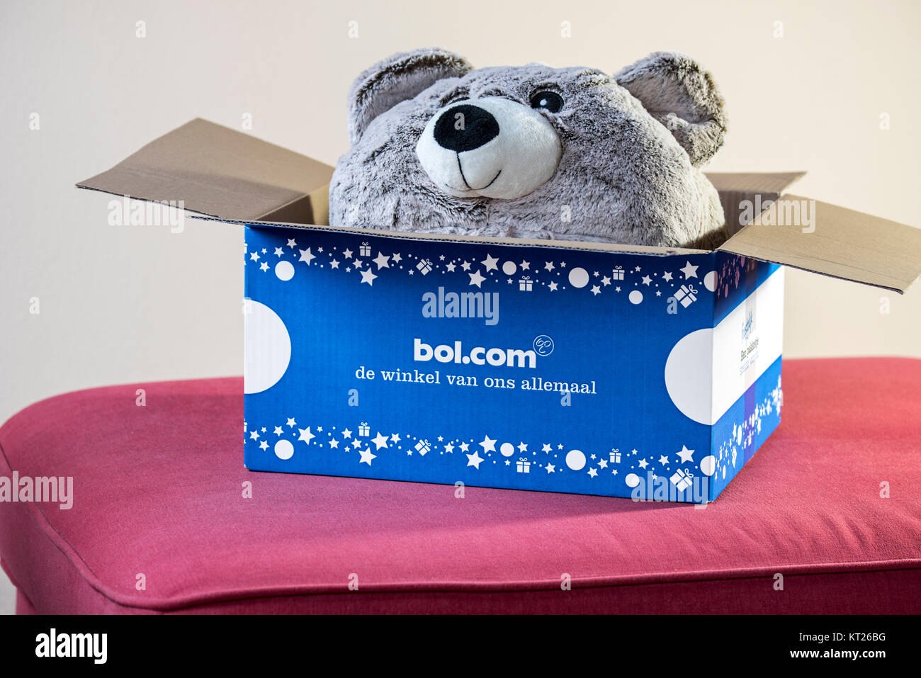 Oso de Peluche Teddy bear / presentes en abrir la caja de cartón comprada en bol.com, webshop líder en los Países Bajos para libros, juguetes y electrónica Foto de stock
