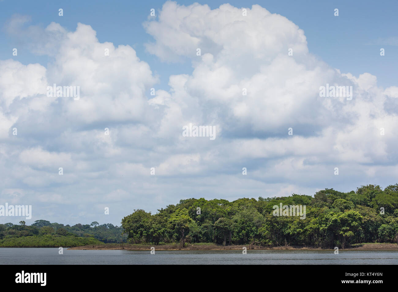 Río Amazonas Foto de stock