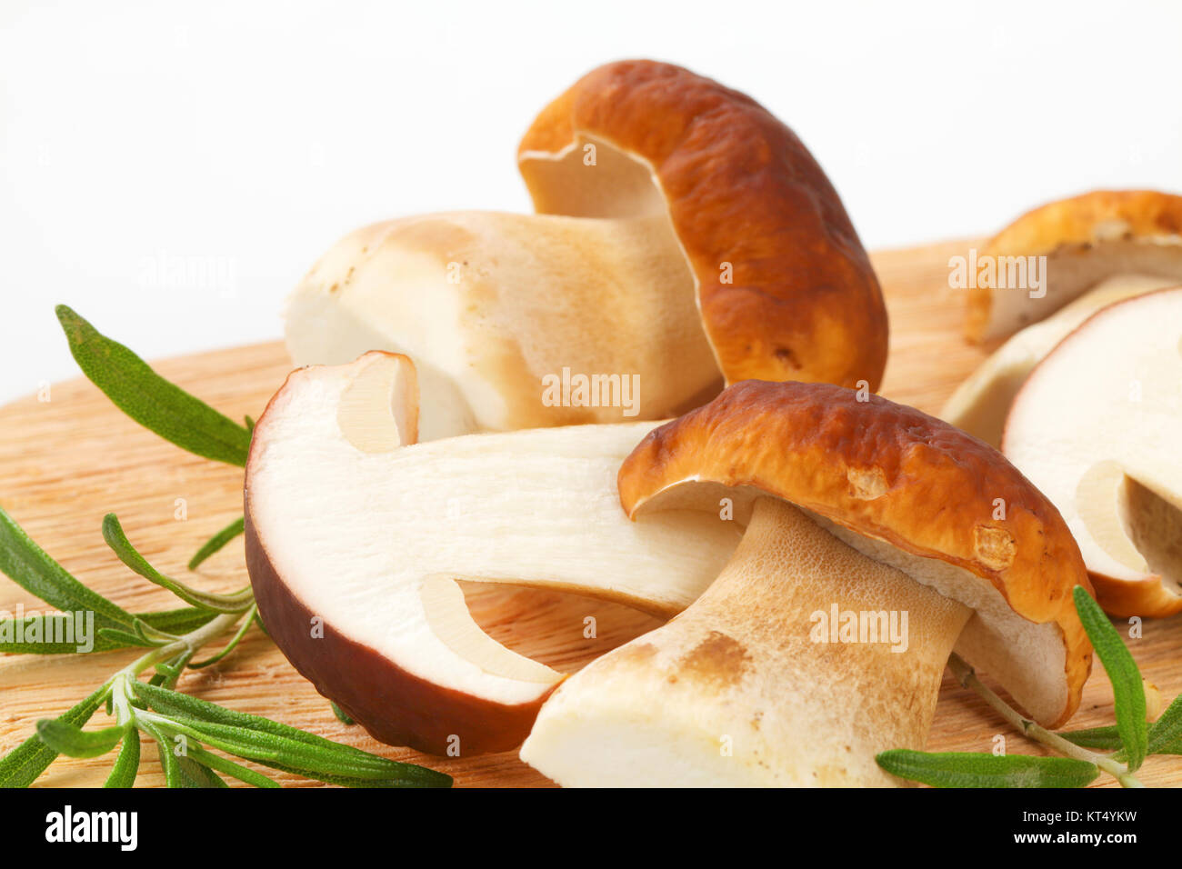 Hongos porcini fresco Fotografía de stock Alamy