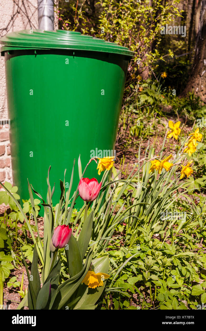 Regentonne im Garten für das Sammeln von Regenwasser, Barril de lluvia en un jardín para recoger agua de lluvia Foto de stock