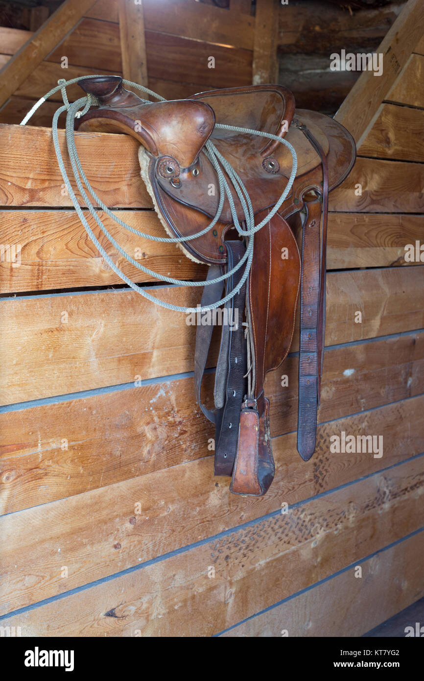 Silla de montar occidental con lariat en la pared estable en Bar U Ranch National Historic Site, Alberta, Canadá Foto de stock