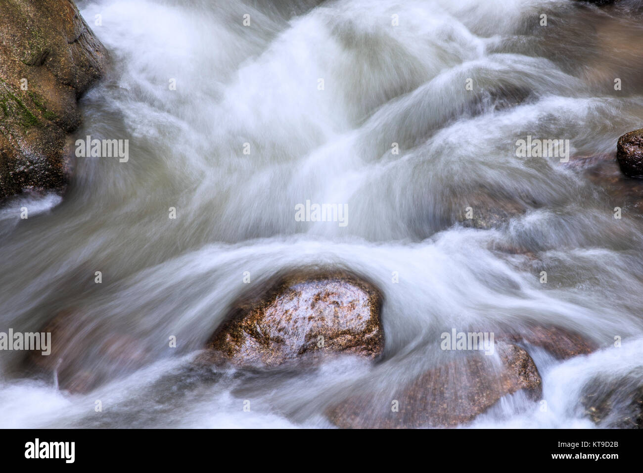 El agua que fluye alrededor de las rocas de Roaring Fork Creek en el rugiente motor horquilla gira en el Great Smoky Mountains National Park Tennessee, EE.UU. Foto de stock
