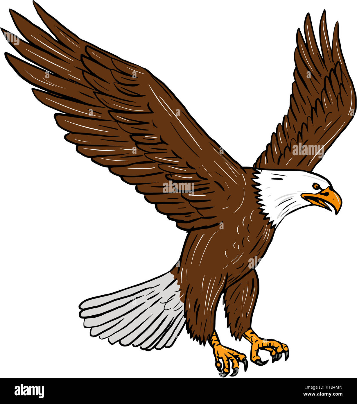 Aguila Para Dibujar C mo Dibujar Un guila paso A Paso EHZBDO