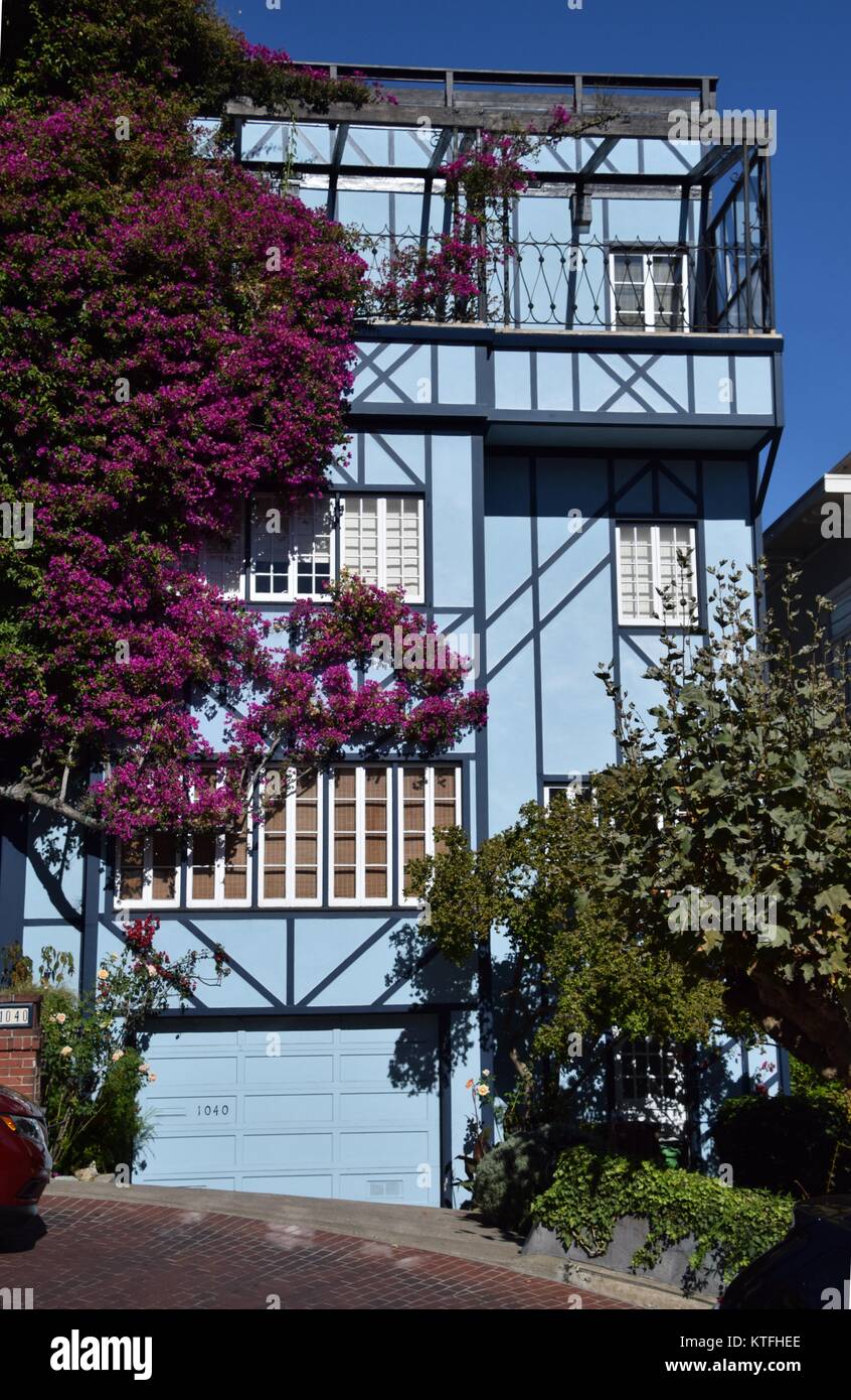Edificio en la calle Lombard (torcida) de la Calle San Francisco con la escalada de las flores Foto de stock