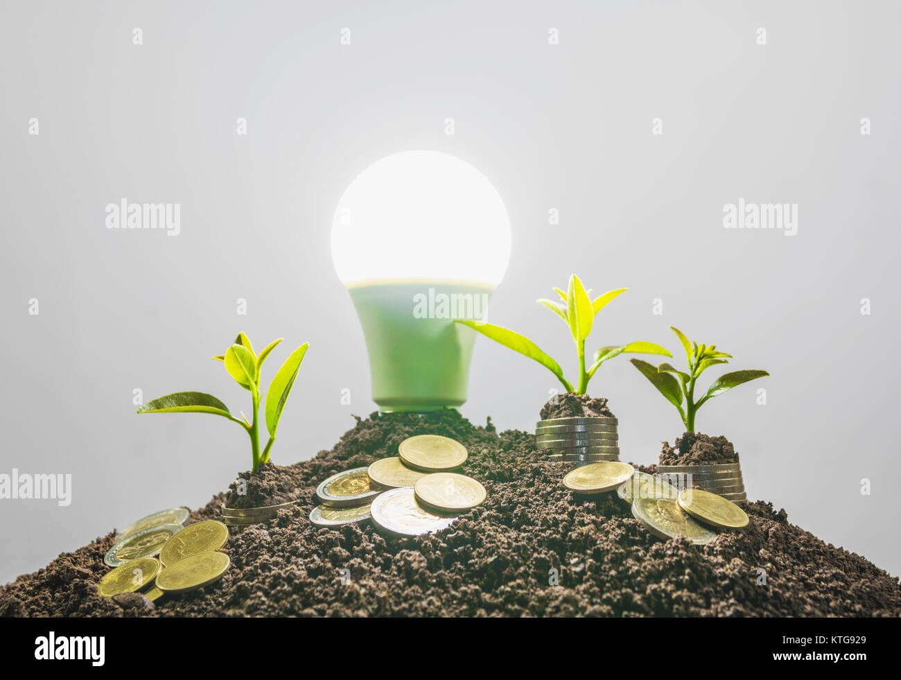 Bombilla de ahorro de energía y el árbol creciendo en pilas de monedas en  el fondo de la naturaleza Fotografía de stock - Alamy