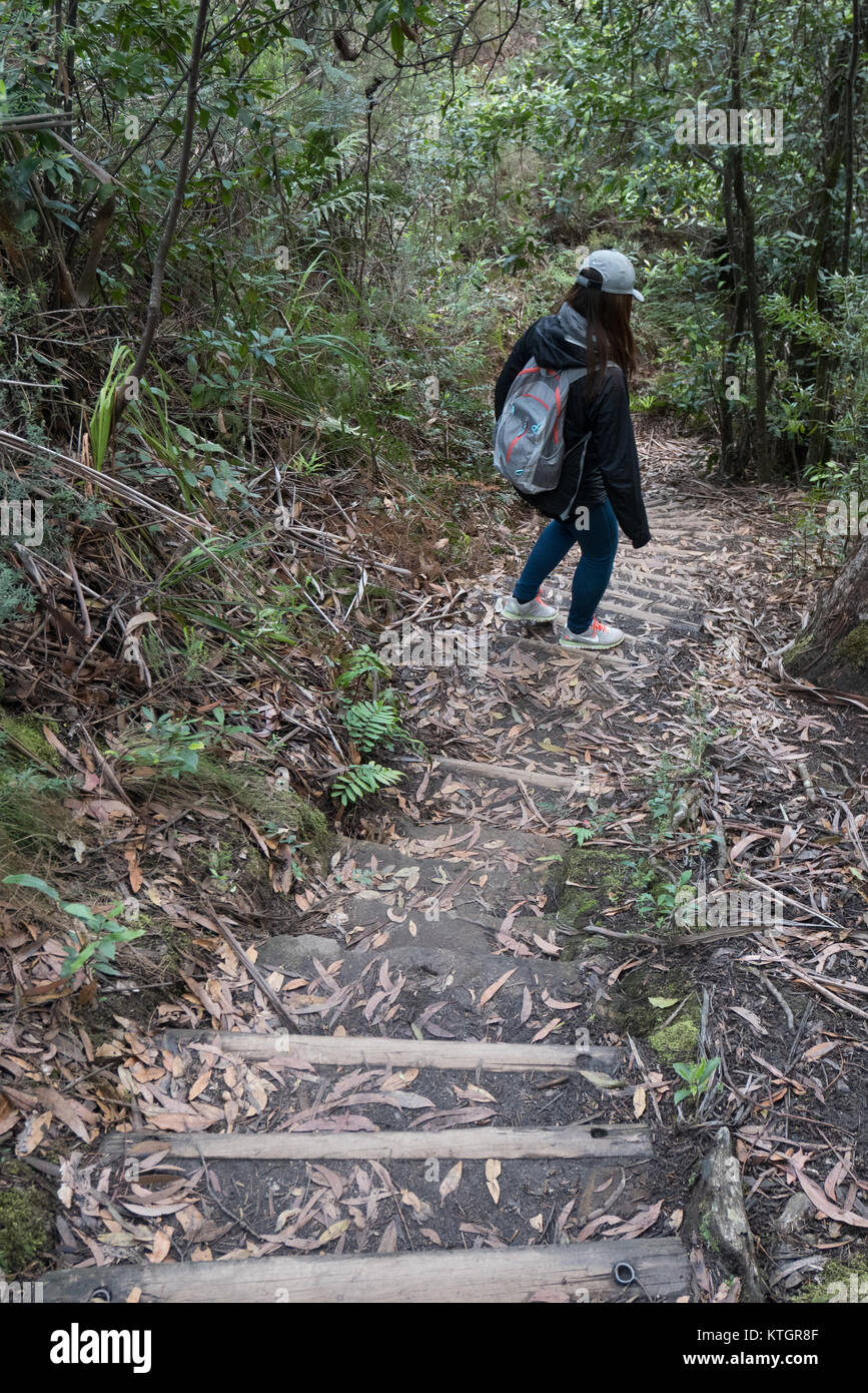 Excursionista hembra caminando por pasos Foto de stock