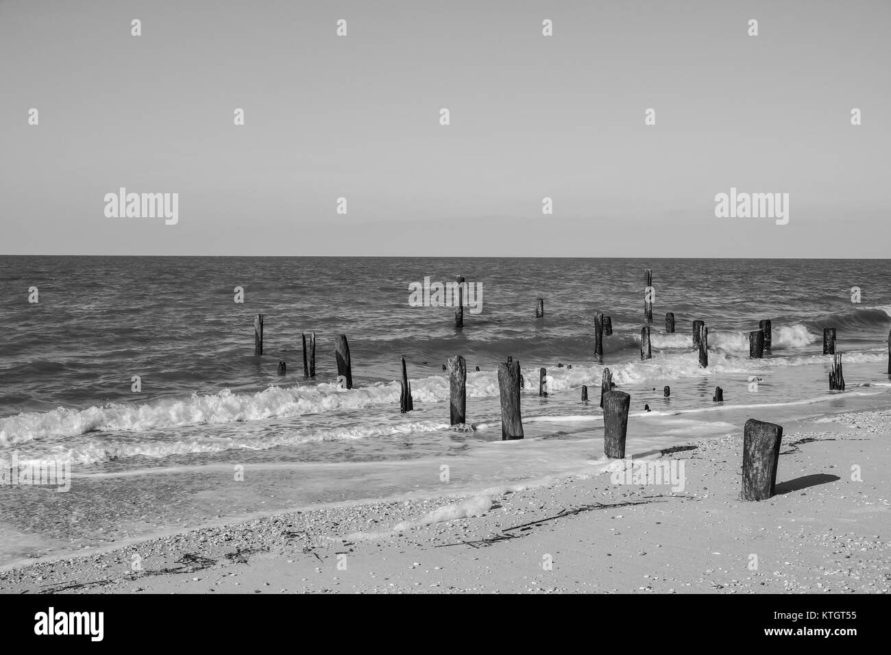 Exterior stock de foto en blanco y negro de pilones de madera levantándose de la arena en Cape May, Nueva Jersey Beach en la Bahía Delaware en Cape May County Foto de stock