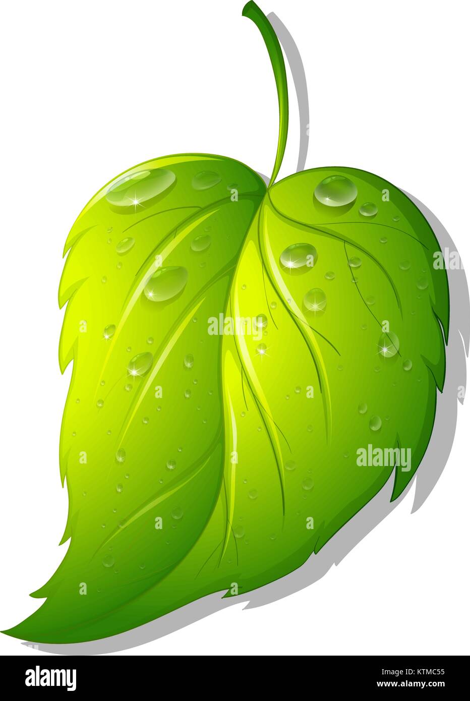 Ilustración de una hoja en blanco Imagen Vector de stock Alamy