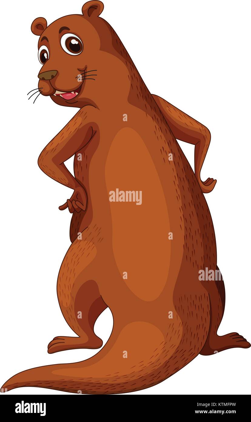 Nutria Bebe Imagenes Vectoriales De Stock Alamy