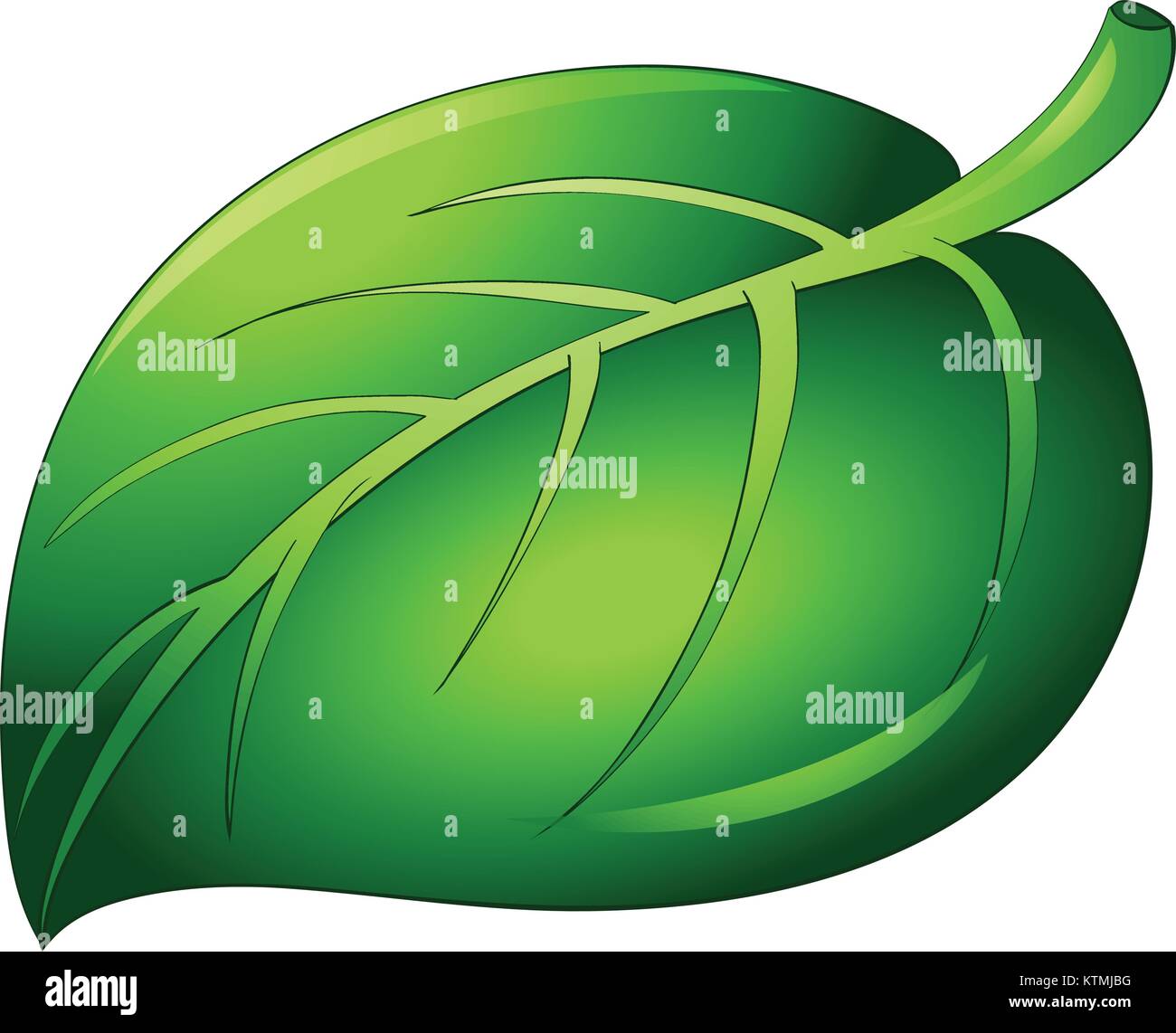 Ilustración de una hoja en blanco Imagen Vector de stock Alamy